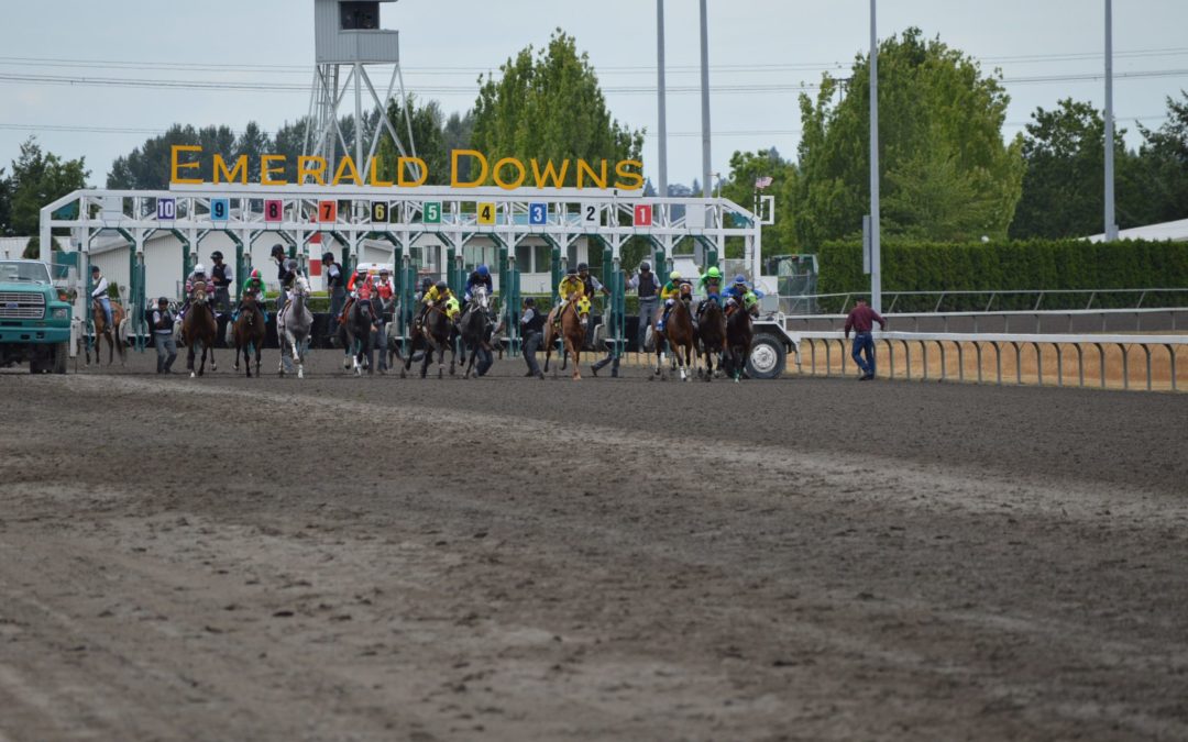 Mile Day betting review; the “All” button was critical!
