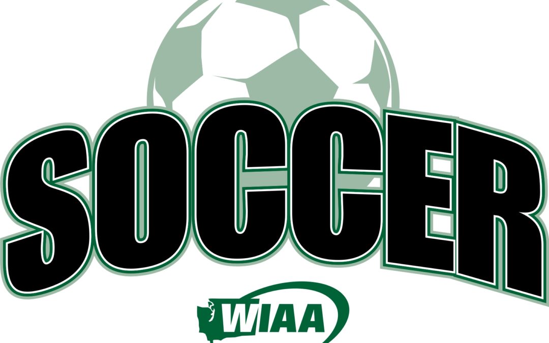 WIAA State Soccer