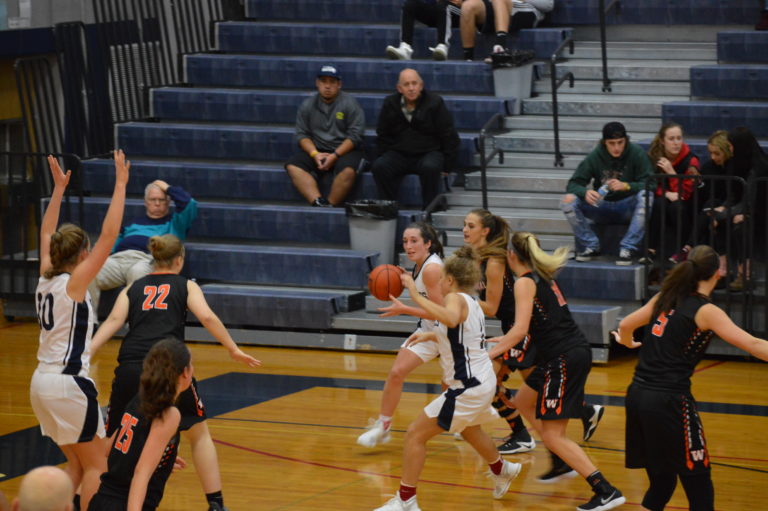 Girls Hoops: Wolves big 4th quarter too much for Panthers