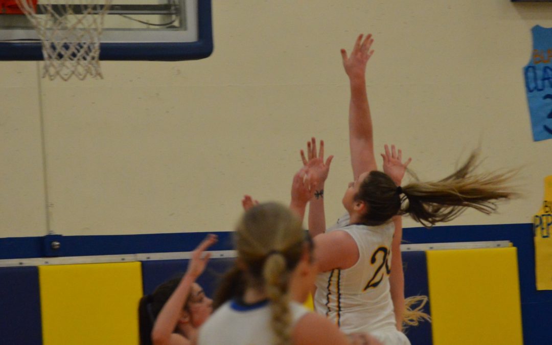 NWAC: Centralia splits Twin Bill with SPSCC