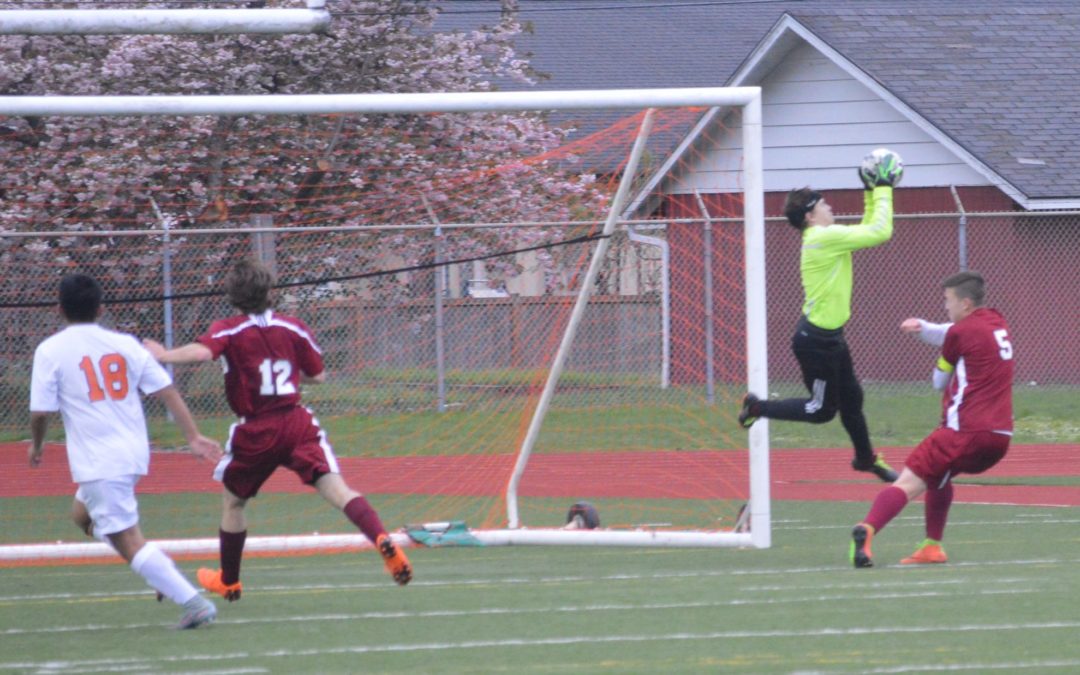 Evco 2A Soccer: Bearcats survive to play another Day with 1-0 win over Tigers