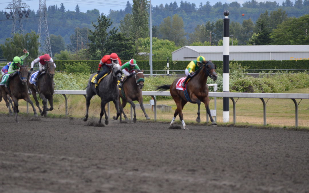 Only in Horse Racing can 90-year-old’s compete with 25-year-olds and win!