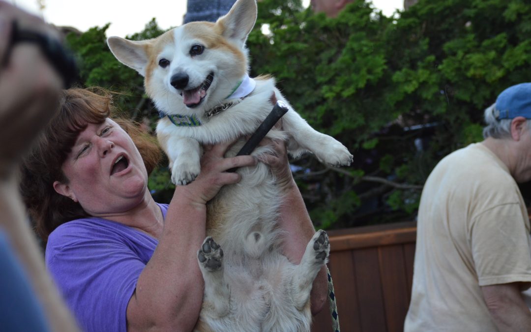 Corgi’s dominate Emerald Downs on Sunday!