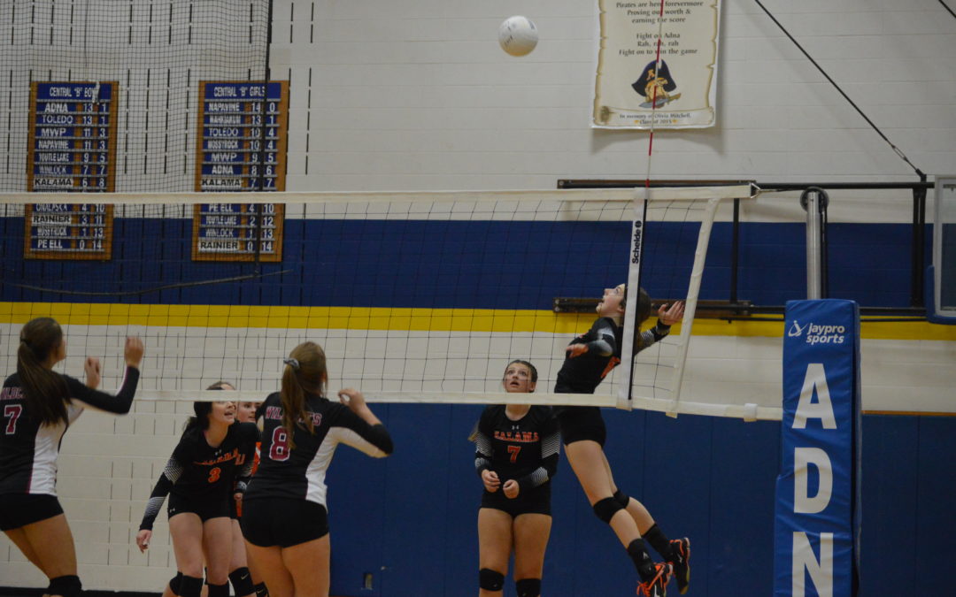 Volleyball: 2A, 1A, 2B, 1B State Brackets and District Results