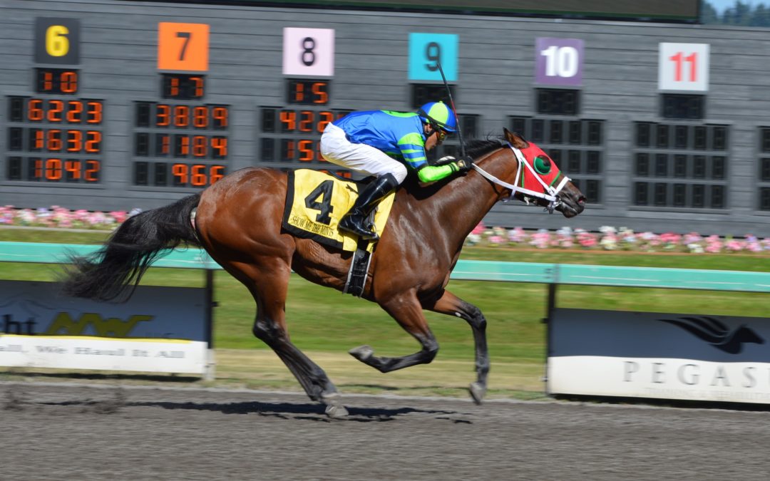 Opinion: PETA set to exterminate Hundreds of Thousands of horses in the name safety
