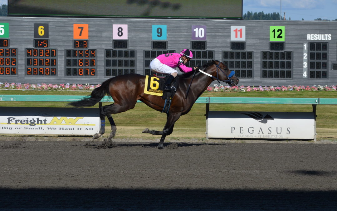 Emerald Downs: Road to the Mile AnyPortinaStorm Dominates Bud Stakes