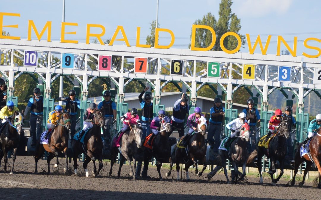 Week 3 at Emerald Downs, all the Numbers going the right Direction